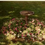 blog-birdbathgarden