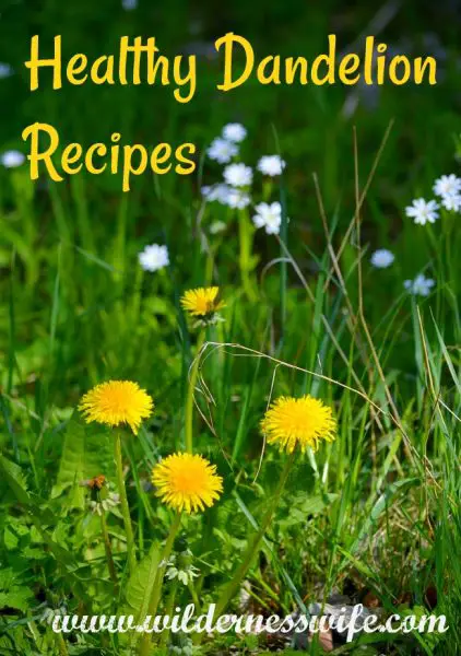 dandelion, dandelions, dandelion rcipes, how to cook dandelions, sauteed dandelions, wilted dandelions, fiddleheads