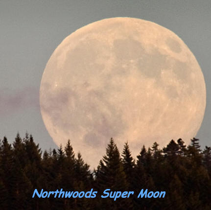 northwoods super moon