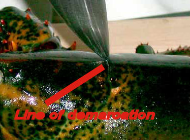 where to put knife insert knife
