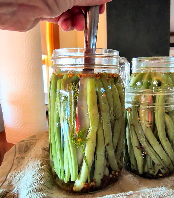 Using knife inserted into canning jars filled with green beans to remove air bubbles during the water bath canning process.