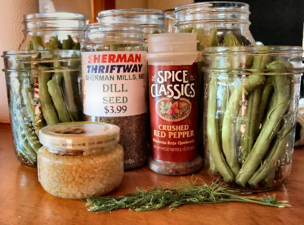 All the ingredients necessary to make this easy dilly bean recipe including minced garlic, dill seed, crushed red pepper, and fresh dill.