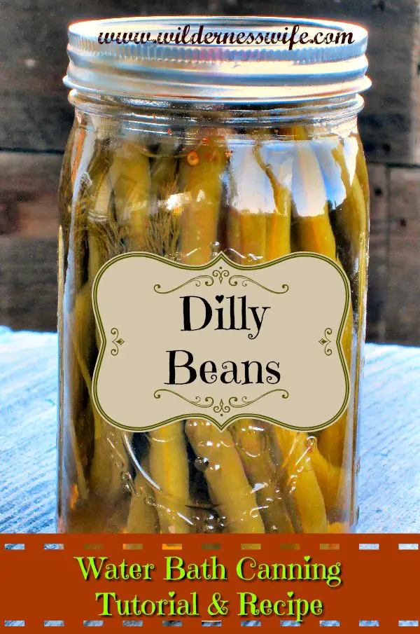 Jar of canned Dilly Beans made in our Dilly Bean water bath canning tutorial using our easy Dilly Bean recipe.