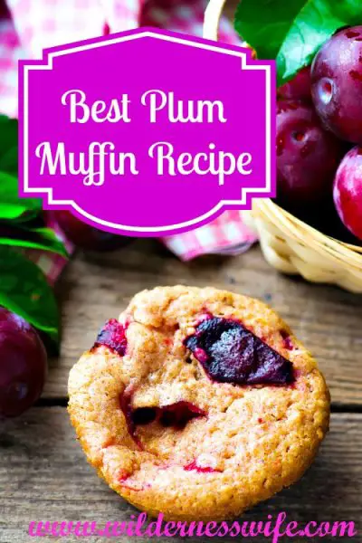 Best Plum Muffin Recipe, Plum Muffin, Plum Recipes