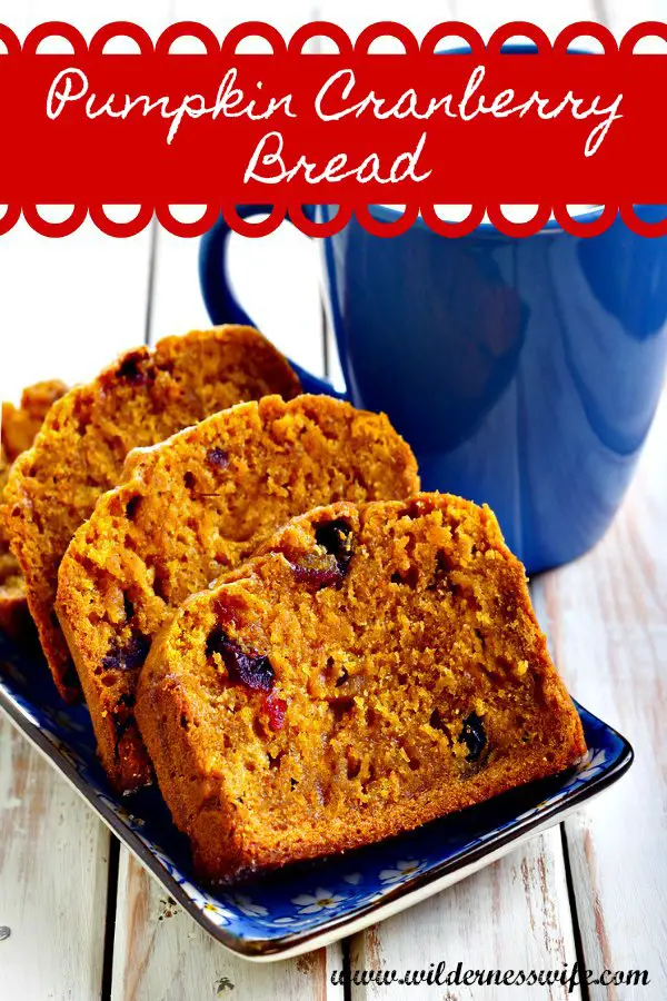Slices of warm pumpkin cranberry bread on a dark blue plate with a cup of steaming coffee