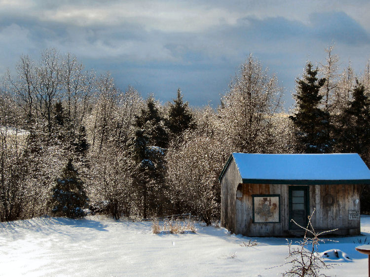 Ice storm outbuilding near Baxter State Park Katahdin Snow storm, ice storm, winter icy trees