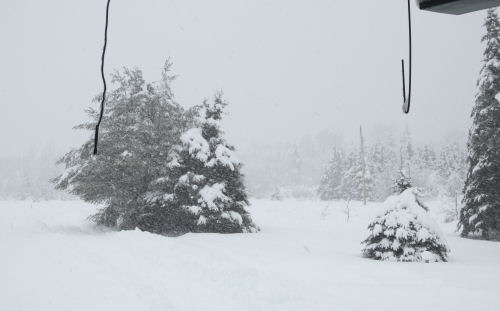 Snowbound in Maine 1 Winter in Maine, Winter near Baxter State Park, Winter near Mount Katahdin