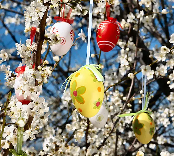 Outdoor Easter egg tree on flowering apple tree