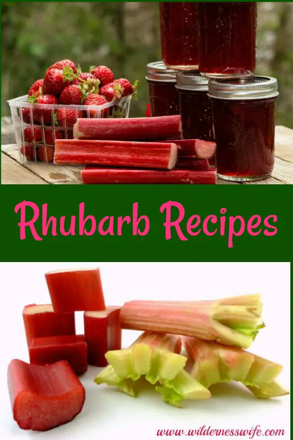 Rhubarb recipes including jam, rhubarb bread, rhubarb cobbler, and strawberry rhubarb pie