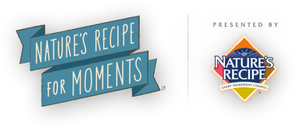 Recipe_For_Moments_Logo_595x257[1]