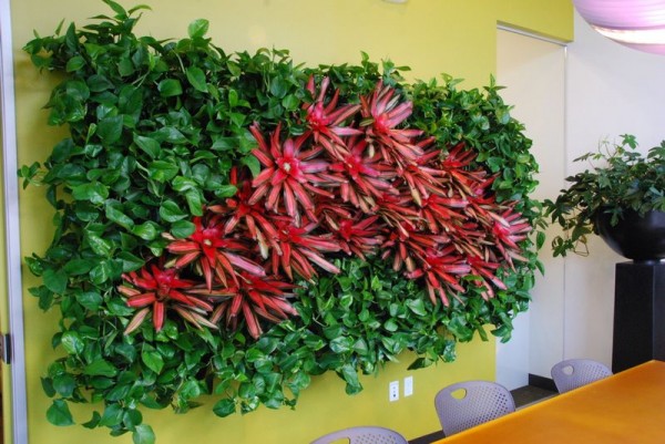 anit pollutant plants