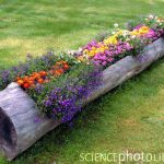 log planter, Garden decor, container gardening, recycled garden decorations