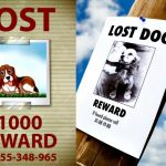 Best GPS Dog Tracker Collar – Whistle