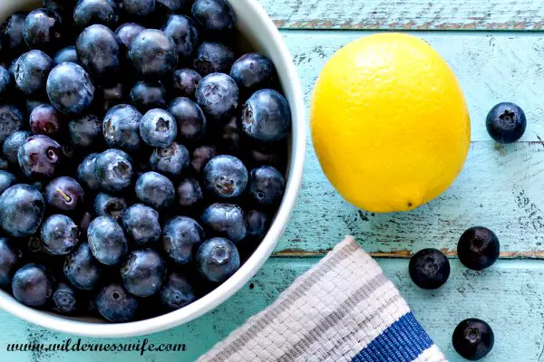 Bowl of fresh blueberries and a plump yellow lemon ready for zesting to make our No Bake Blueberry Cheesecake Recipe.