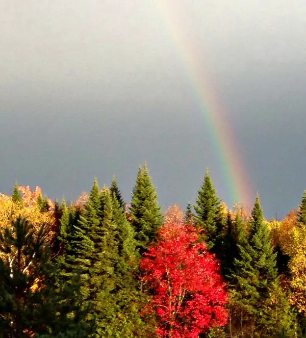 Rainbow on a fall day in the North Maine Woods