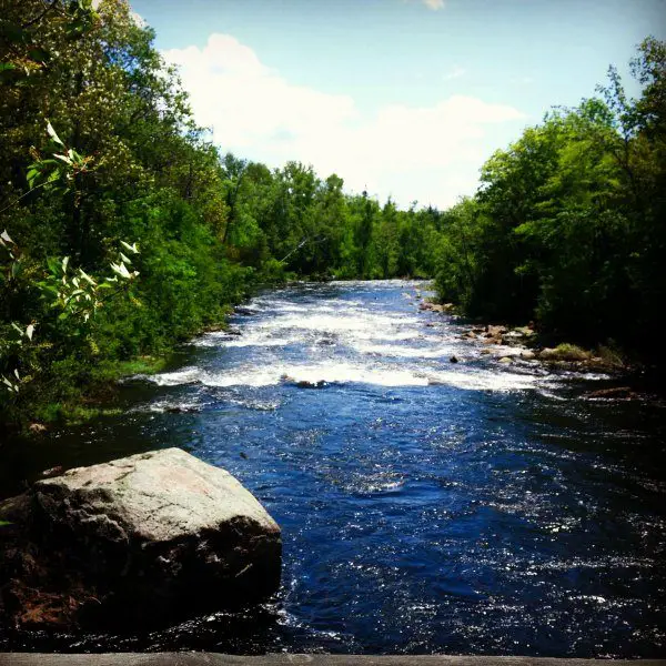 Rushing trout stream in the Maine North Woods