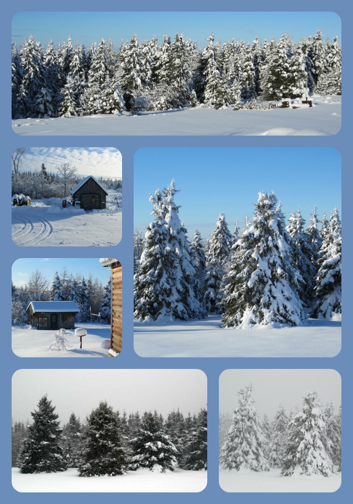 A collage of our homestead, The Haven, in the winter here in northern Maine.