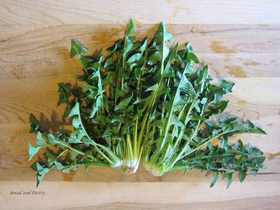 Dandelions, dandelion, dandelion greens, steamed dandelions, sauteed dandelion, how to pick dandelion, how to cook dandelions