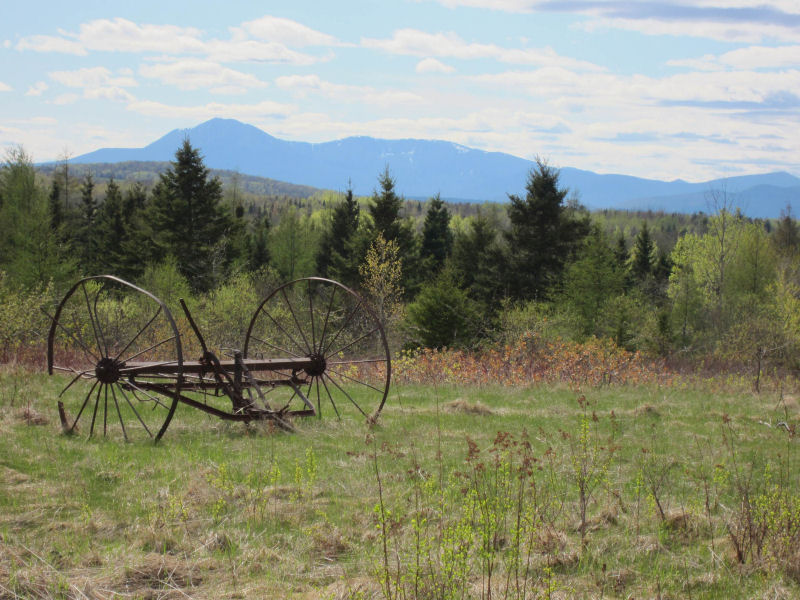 Spring colors in the Mount Katahdin region in field overlooking Baxter State Park