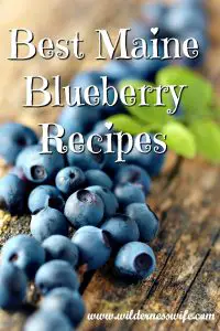Luscious fresh Maine Blueberries on wood table top in rustic kitchen