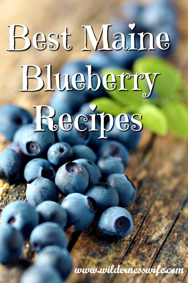 Luscious fresh Maine Blueberries on wood table top in rustic kitchen