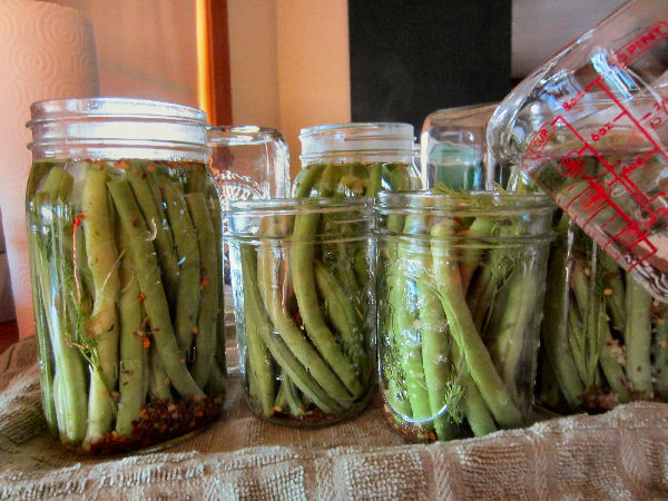 Hot pickling brine for dilly beans being poured into canning jars