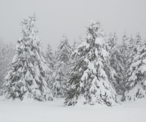 Mount Katahdin, winter in Maine, Blizzrad of 2013, Baxter State Park