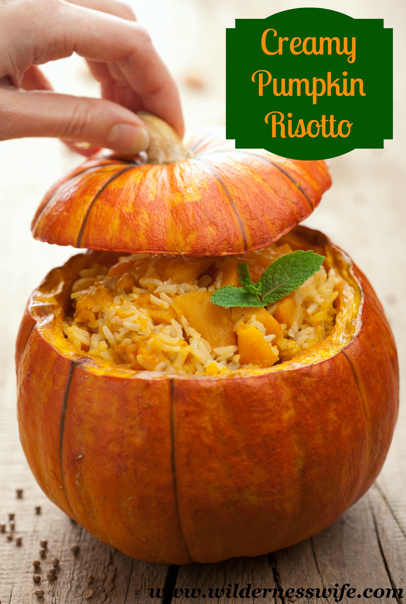 Risotto, Pumpkin Risotto, Slow Cooker Pumpkin Risotto