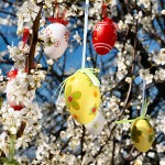 Outdoor Easter egg tree on flowering apple tree