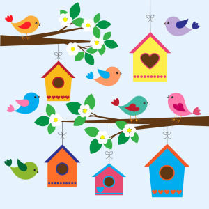 Birds, spring, birdhouse