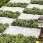 Home Depot Garden Club