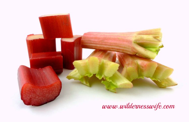 Rhubarb cut into 1 inch pieces ready for the freezer or use in this easy rhubarb crumble recipe