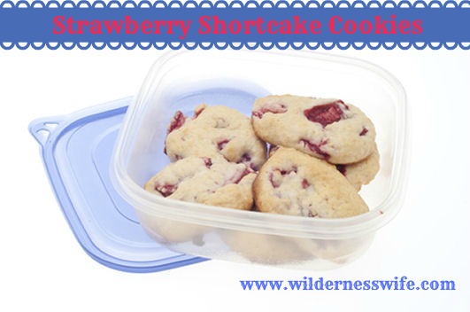 Strawberry Shortcake Cookie recipe in Tupperware box