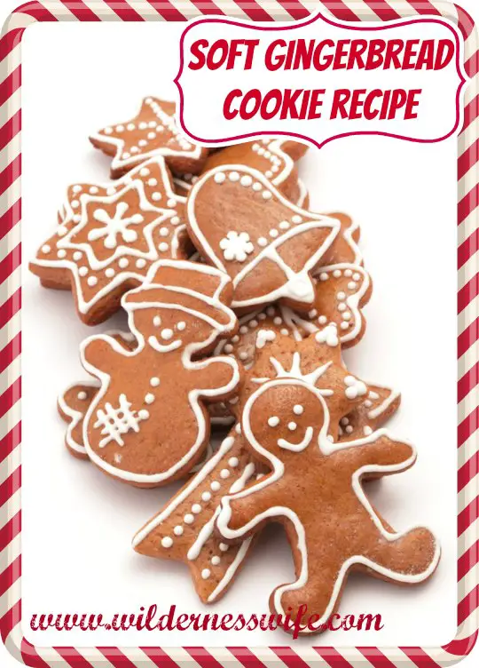 Gingerbread cookies on white background.