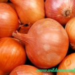 slow cooker, slow cooker french onion soup, onion soup, crock pot french onion soup, crock pot onion soup