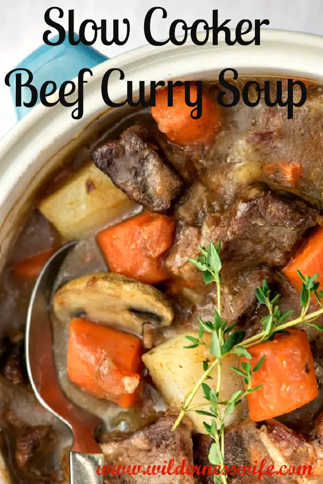 beef soup, beef curry, slow cooker recipe, soup recipe
