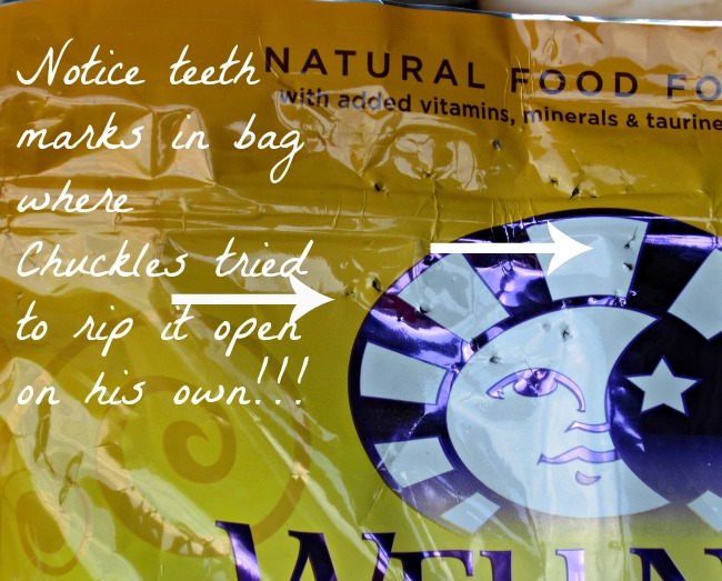 Cat food, kitten food, nutrition