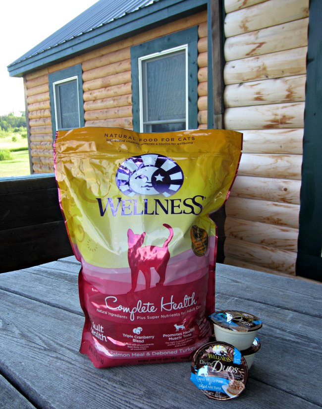 Wellness cat food, cat food, kitten food