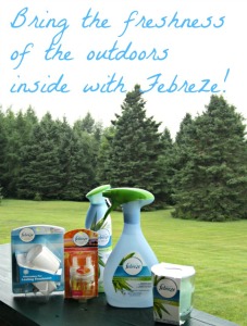 Pet odors, fresh smells, air freshener