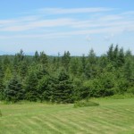 Mount Katahdin, Katahdin, power outage, batteries, Duracell
