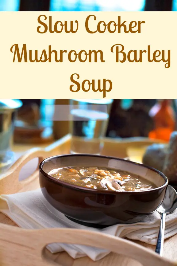 Mushroom soup, vegetable soup, slow cooker soup