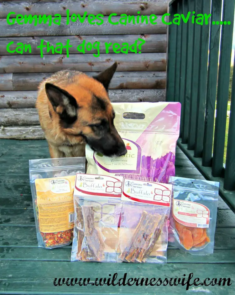 Dog treat, holistic dog treat, grain free dog treat, gluten free dog treat