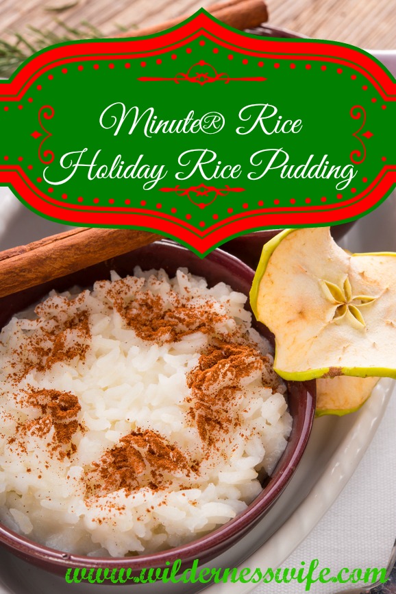 rice pudding, cranberry rice pudding, cinnamon rice pudding