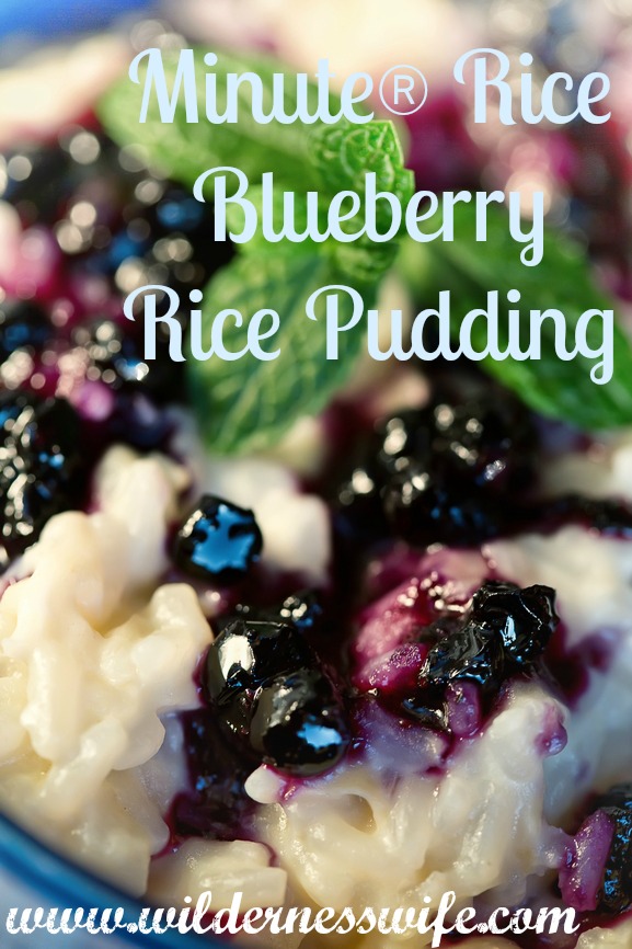 Rice, rice pudding, blueberry pudding,