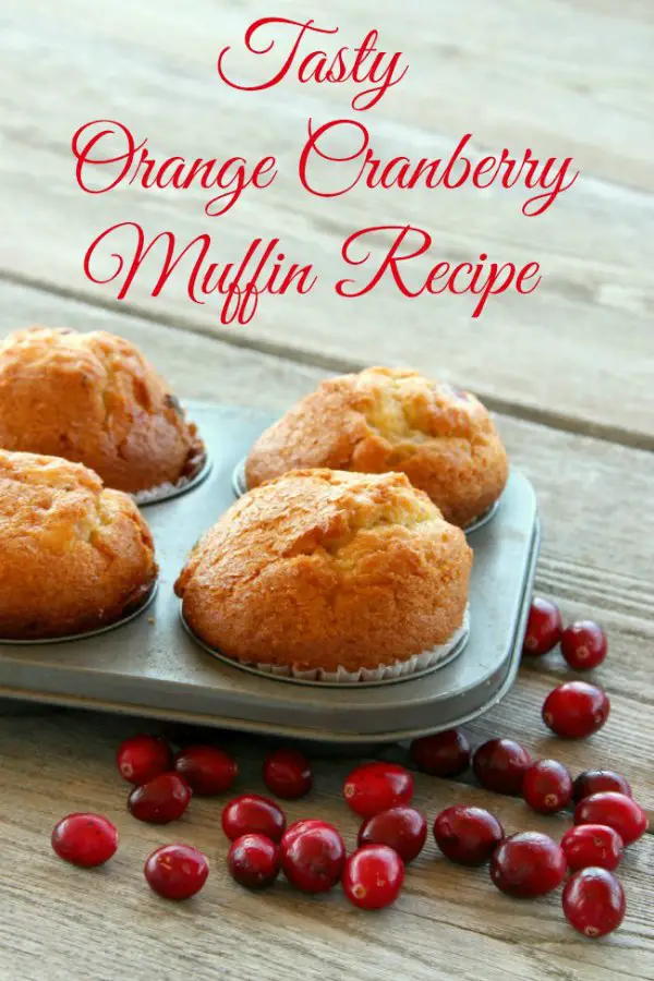 Baking tin loaded with delicious Orange Cranberry Muffin on a gray driftwood table with fresh cranberries sprinkled around the muffin tin.