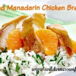 baked mandarin chicken breasts, baked chicken, chicken casserole, orange chicken, baked orange chicken breasts, baked chicken breasts