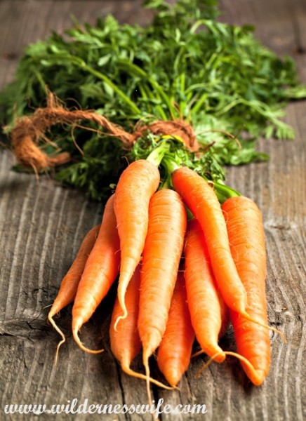 carrots, carrots fresh from garden, A large bunch of perfect carrots setting on a wood table ready to use in my slow cooker curried carrot soup.