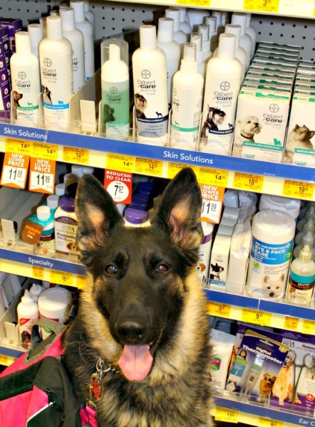 Bayer ExpertCare, PetSmart, Skin Care for dogs, grooming for dogs, quality care, specially formulated for dogs