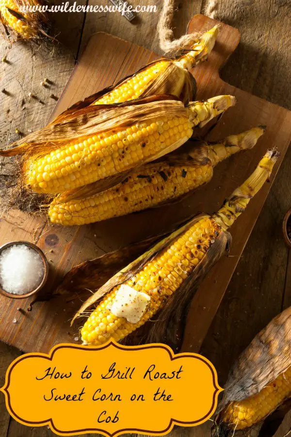 Perfectly roasted sweet corn on the cob right of the barbecue grill