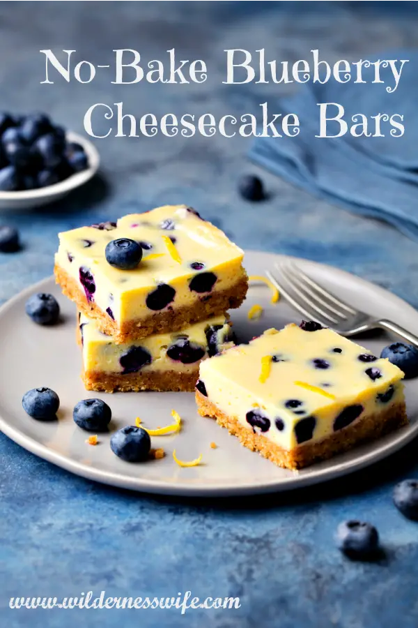 No Bake Blueberry Cheesecake Bars on a plate with a hint of grated lemon zest sprinkled on top
